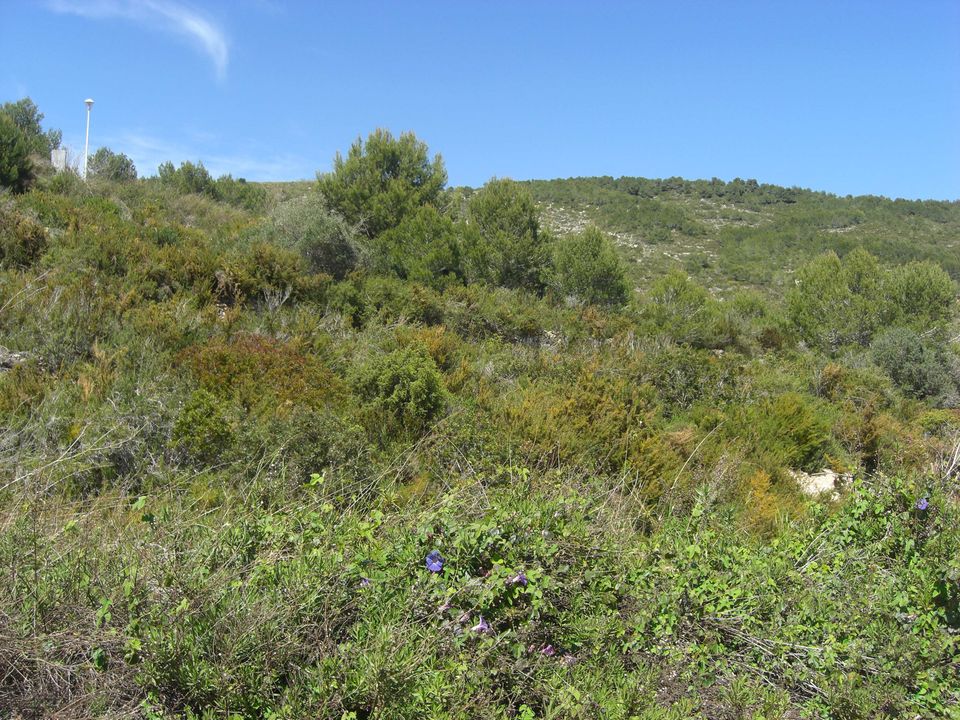 Helårsgrund i Benitachell, Alicante - foto 1
