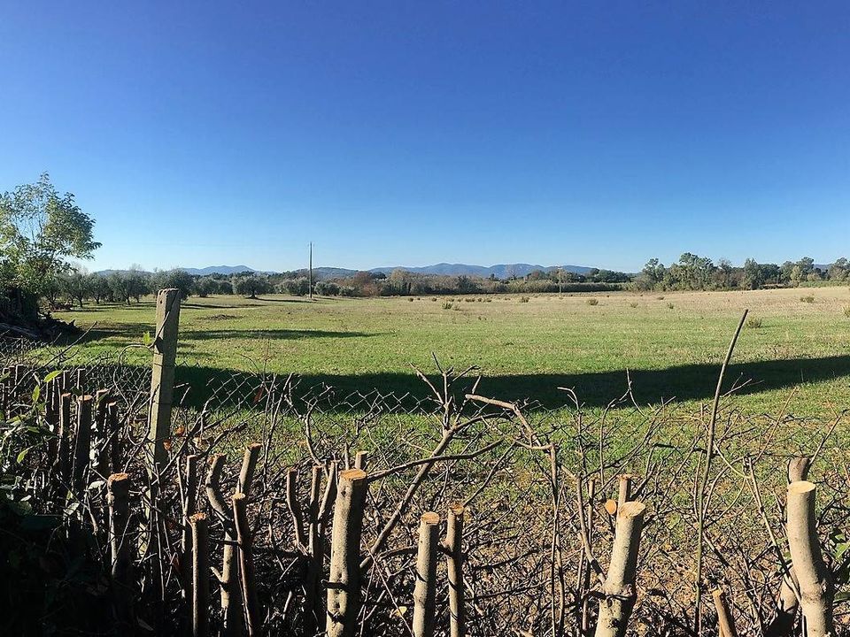 Farm hus i Roccastrada, Grosseto - foto 5