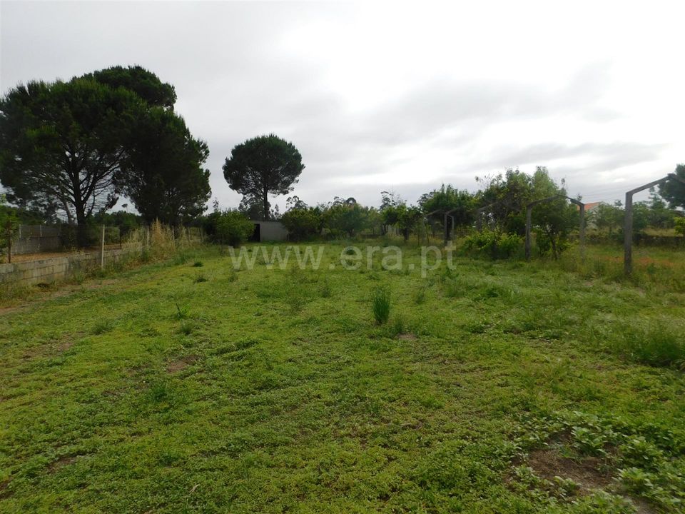 Villa i Oliveira do Hospital, Coimbra - foto 3