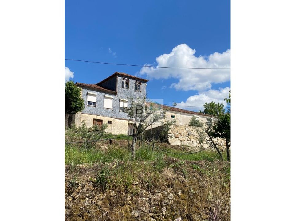 Farm i Lamego, Viseu - foto 3