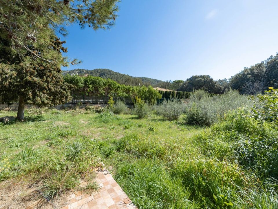 Helårsgrund i Pollenca, Mallorca - foto 1