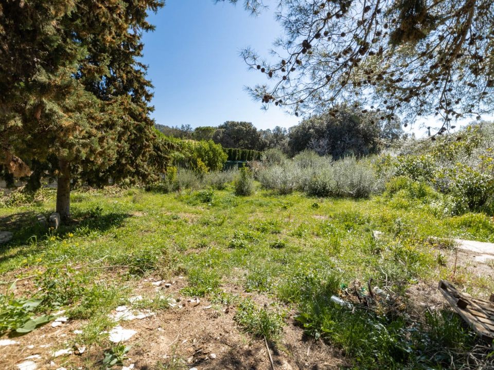 Helårsgrund i Pollenca, Mallorca - foto 2