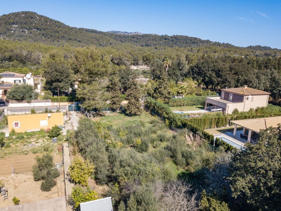 Helårsgrund i Pollenca, Mallorca - foto 3
