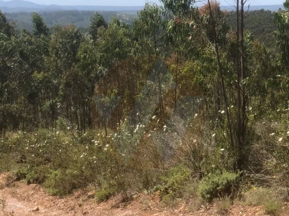 Helårsgrund i Odemira, Beja - foto 3