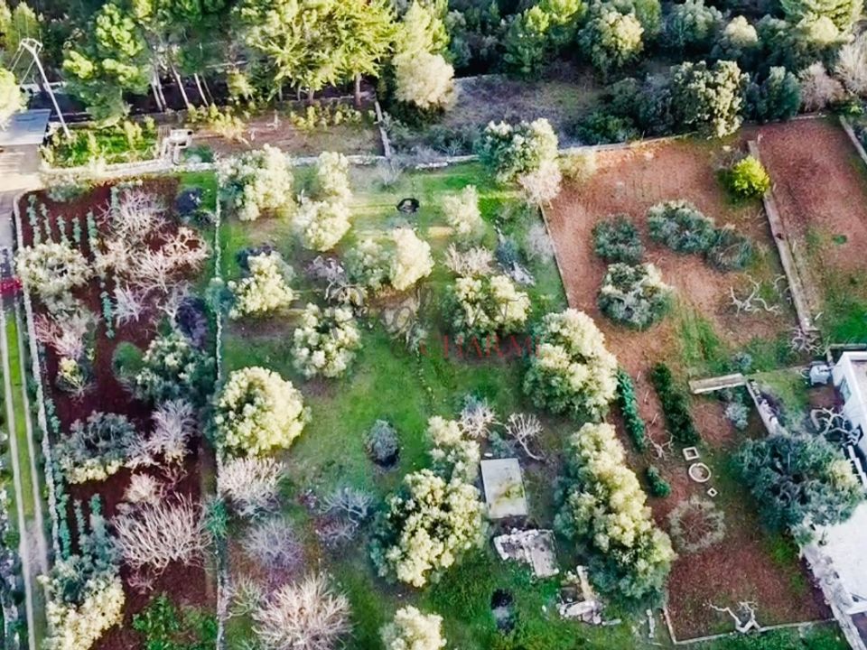 Landejendom i Martina Franca, Taranto - foto 4