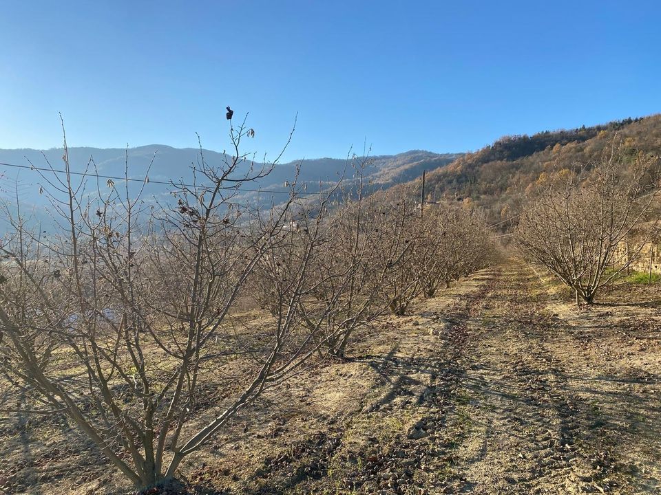 Villa i Gorzegno, Cuneo - foto 5