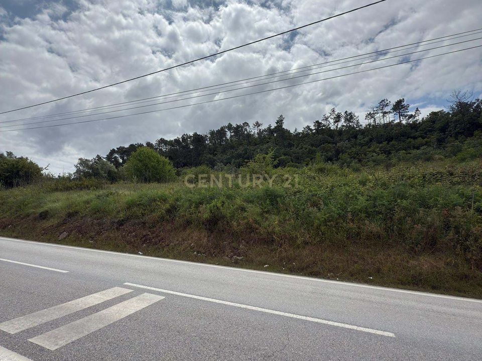 Helårsgrund i Alcobaca, Leiria - foto 5
