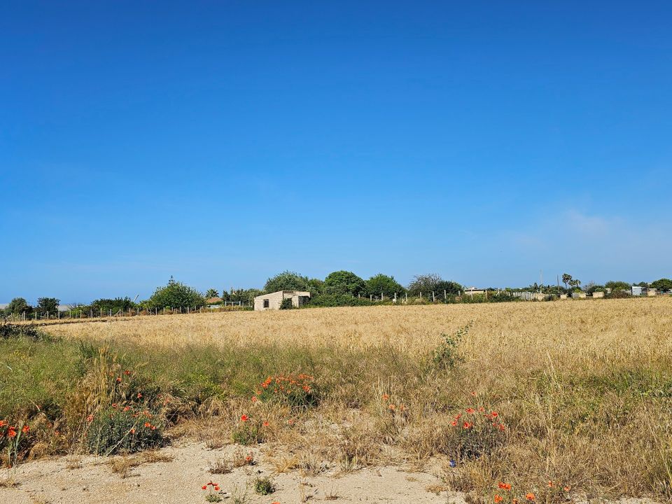 Erhvervsejendom i Scicli, Ragusa - foto 4