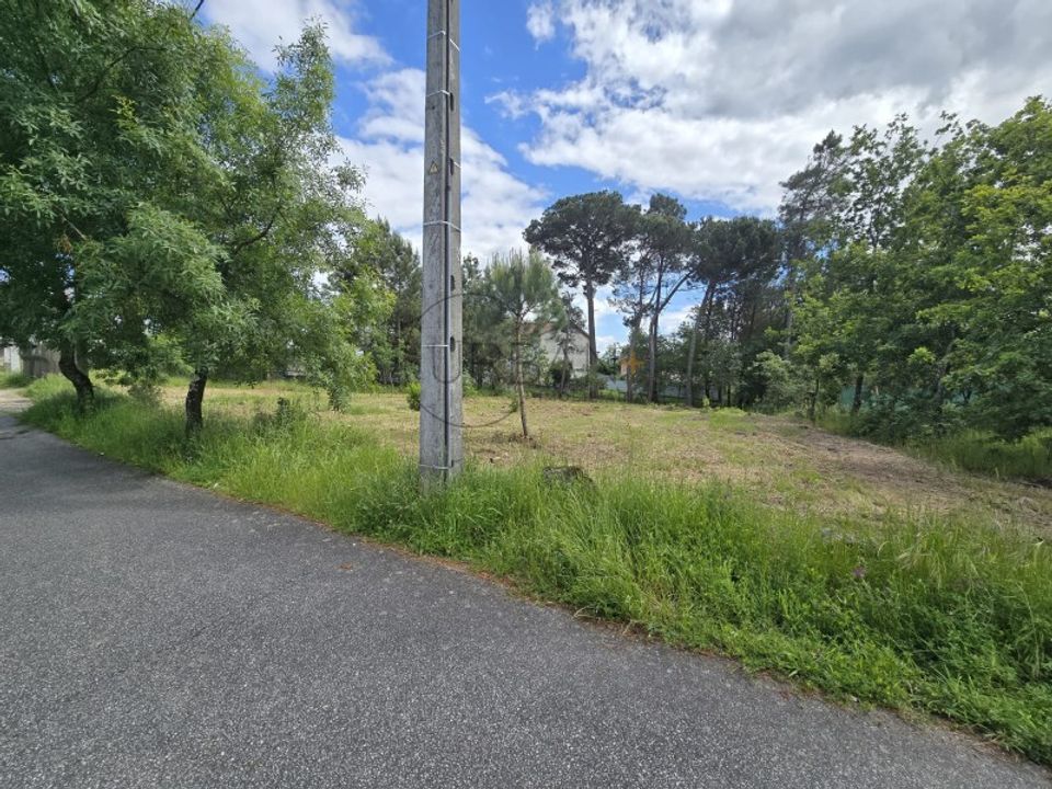 Helårsgrund i Faíl e Vila Chã de Sá, Viseu - foto 3