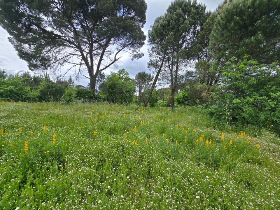 Helårsgrund i Faíl e Vila Chã de Sá, Viseu - foto 1