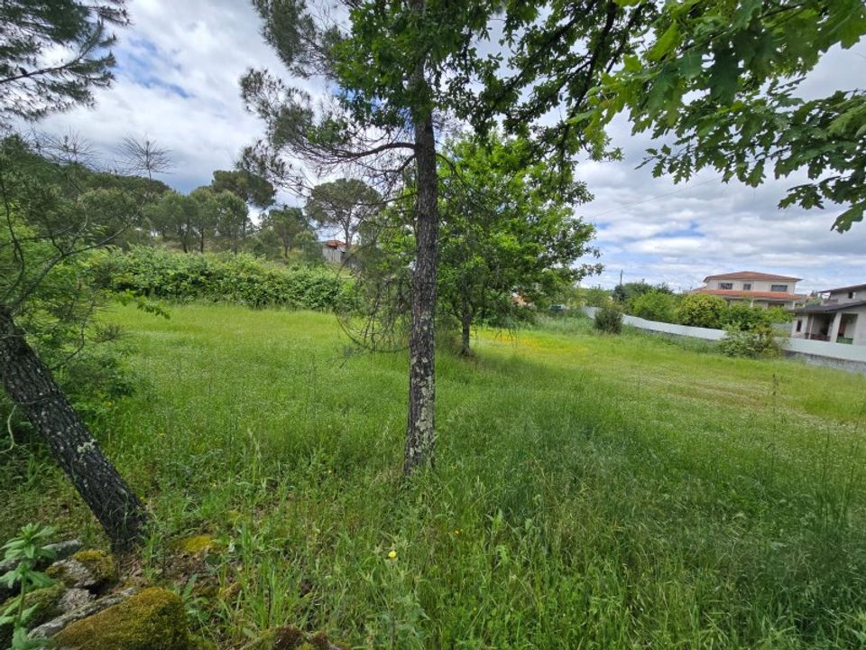 Helårsgrund i Faíl e Vila Chã de Sá, Viseu - foto 2