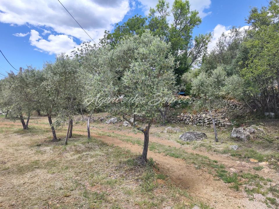 Tomt i Tavernes, Var - bilde 4
