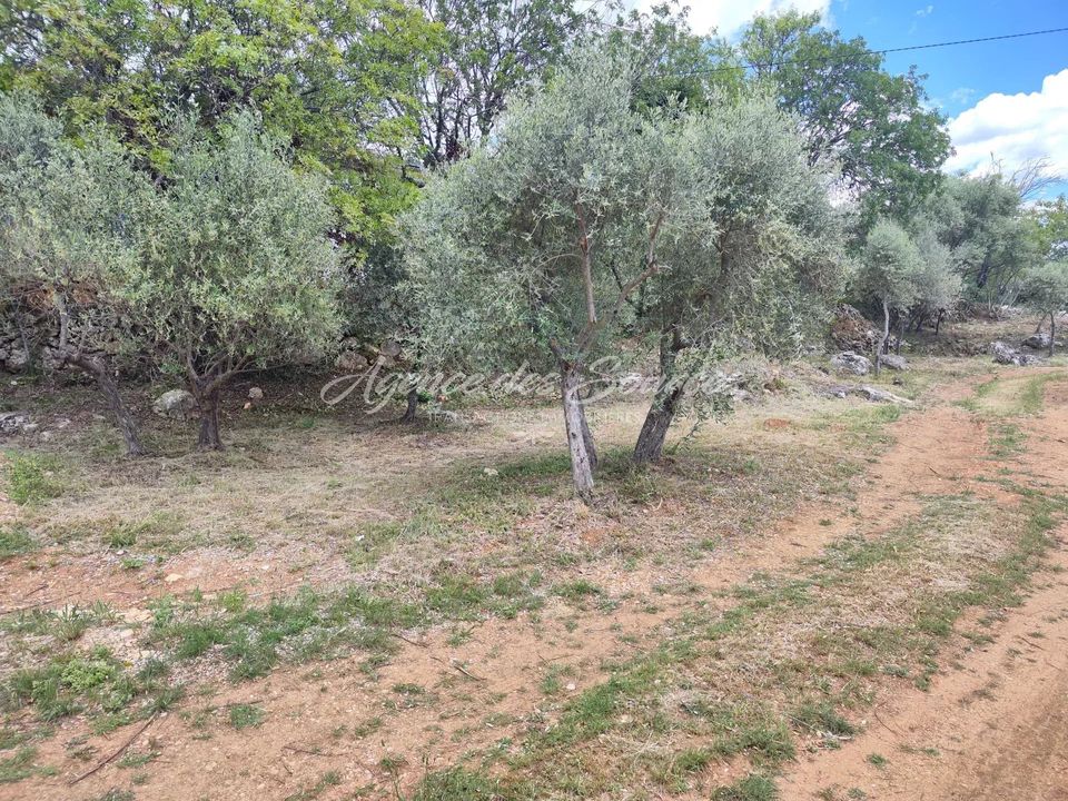 Tomt i Tavernes, Var - bilde 5