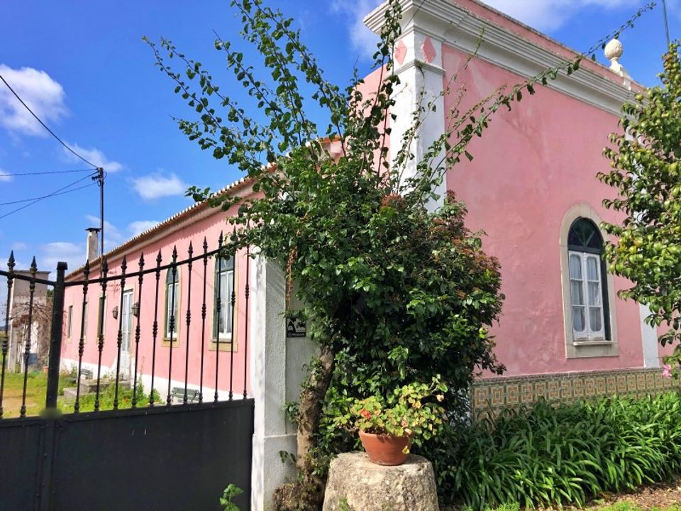 Farm i Riachos, Santarem - foto 2
