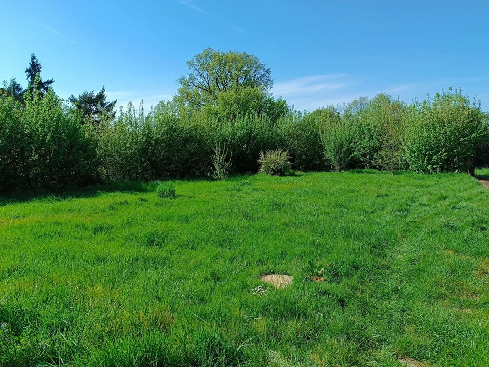 Villa i Bioussac, Charente - foto 2