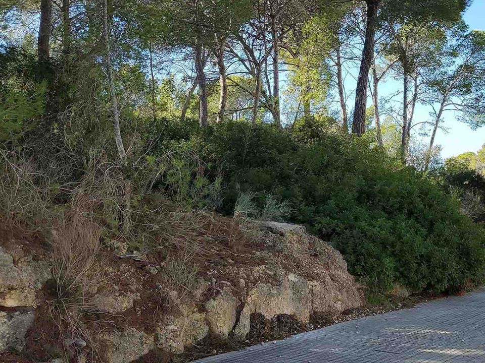 Helårsgrund i Cala Vinyes, Mallorca - foto 1