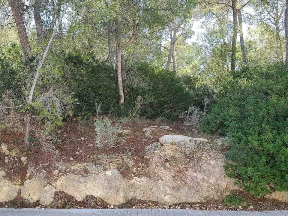 Helårsgrund i Cala Vinyes, Mallorca - foto 2