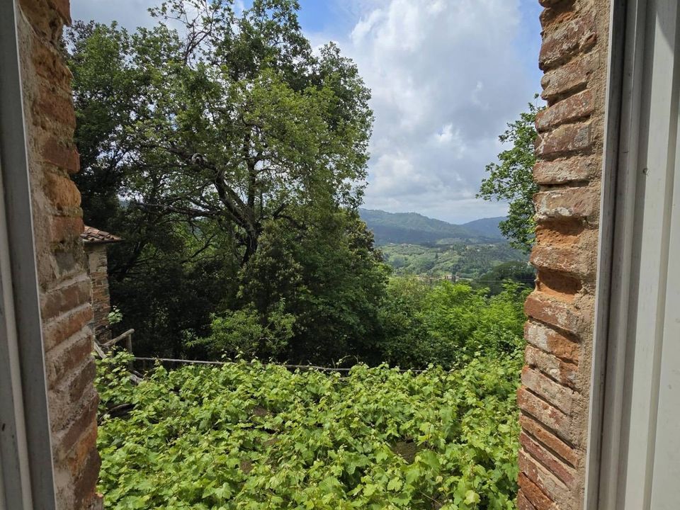 Landejendom i Camaiore, Lucca - foto 3