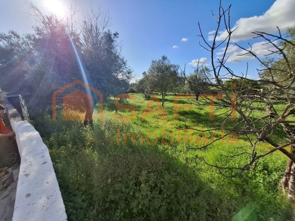 Næringseiendom i Alpalhao, Portalegre - bilde 5
