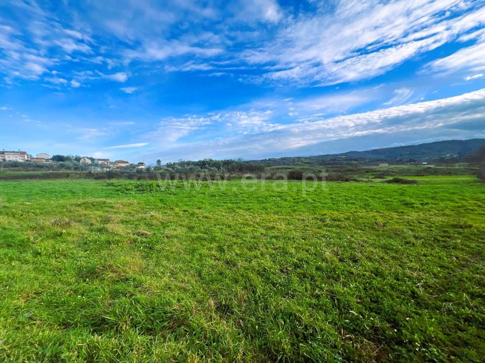Helårsgrund i Covilha, Castelo Branco - foto 2