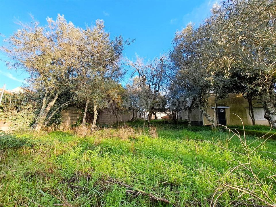 Helårsgrund i Covilha, Castelo Branco - foto 5