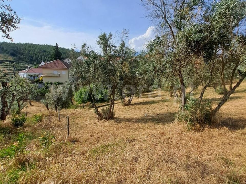 Helårsgrund i Covilha, Castelo Branco - foto 3