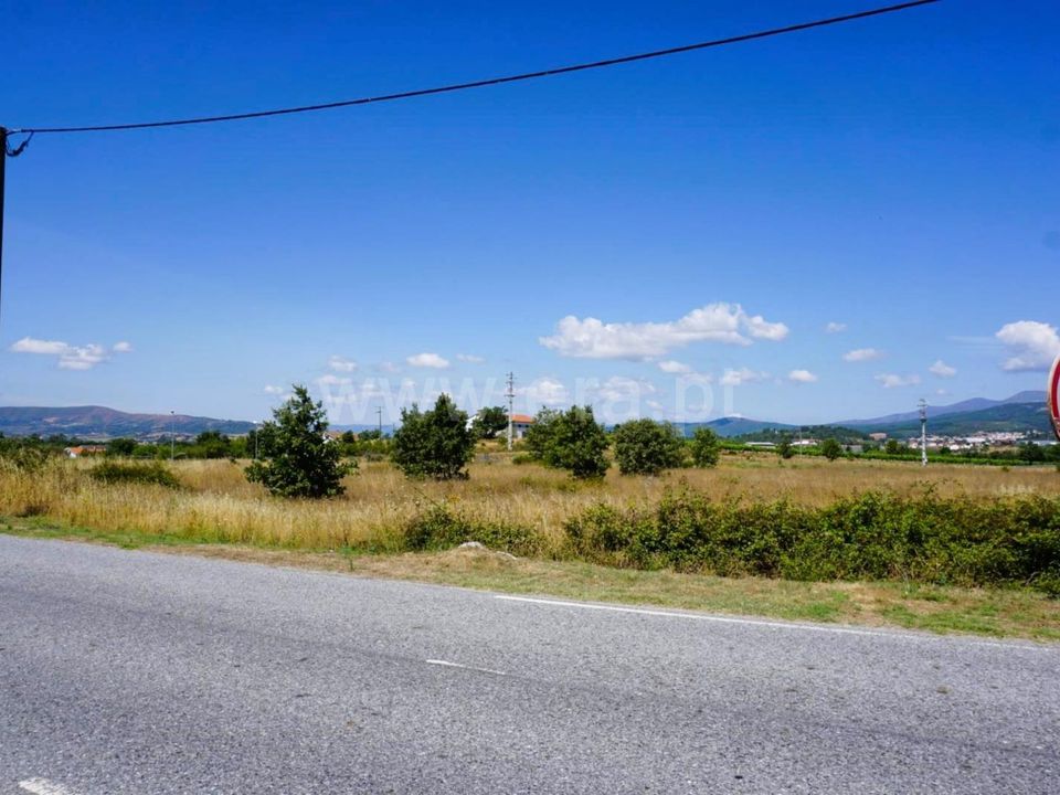 Helårsgrund i Fundao, Castelo Branco - foto 4