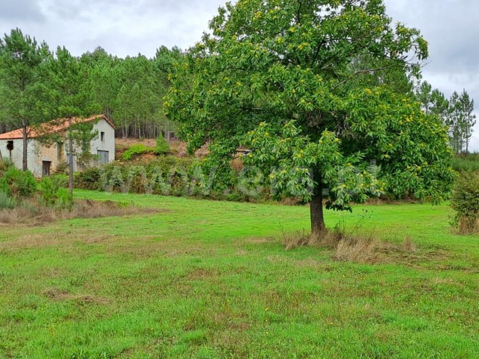 Helårsgrund i Covilha, Castelo Branco - foto 1