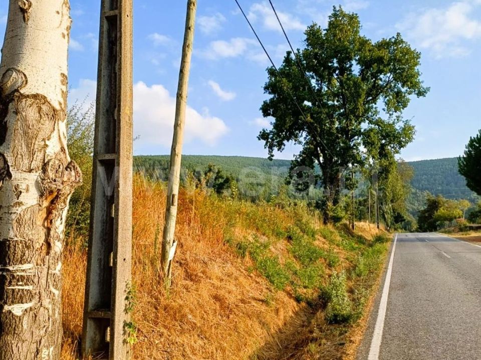 Tomt i Fundao, Castelo Branco - bilde 2