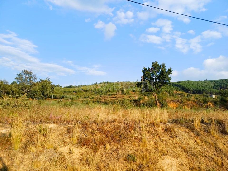 Tomt i Fundao, Castelo Branco - bilde 3