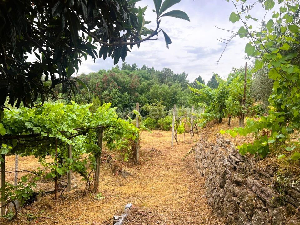 Landejendom i Covilha, Castelo Branco - foto 4