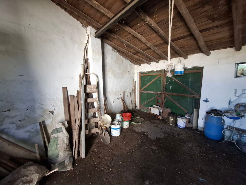 Gård i Alpalhao, Portalegre - bilde 2