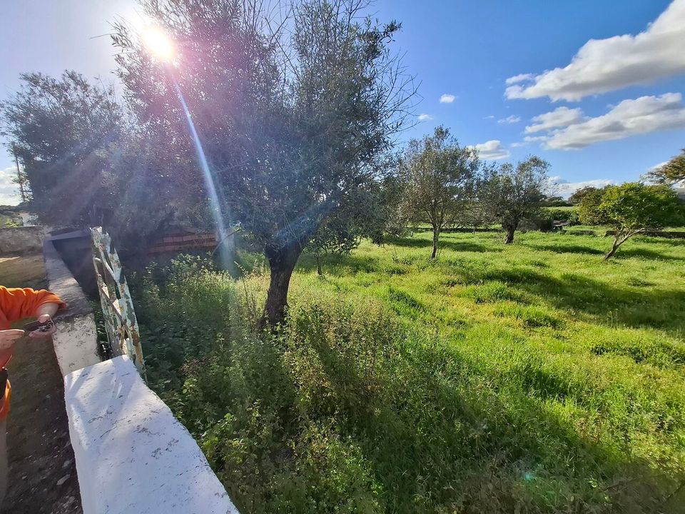 Gård i Alpalhao, Portalegre - bilde 3