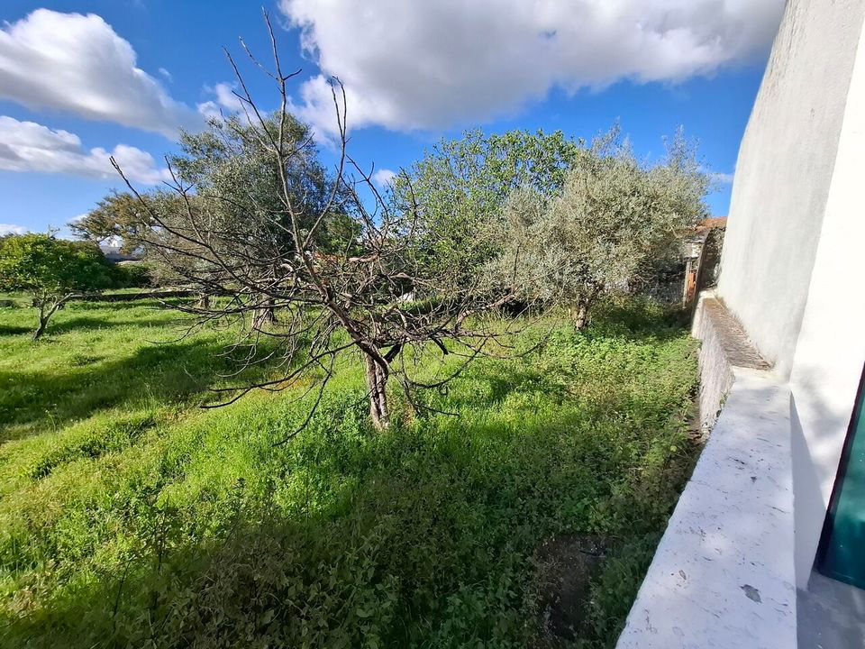 Gård i Alpalhao, Portalegre - bilde 4