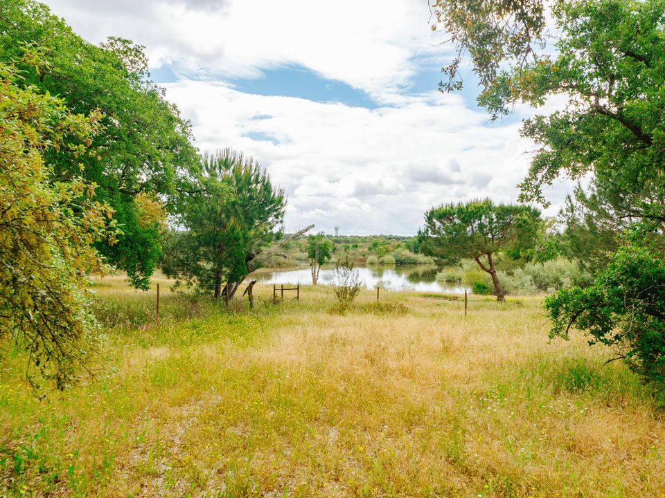 Helårsgrund i Benavente, Santarem - foto 1