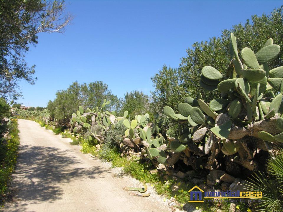 Helårsgrund i Portopalo di Capo Passero, Siracusa - foto 1