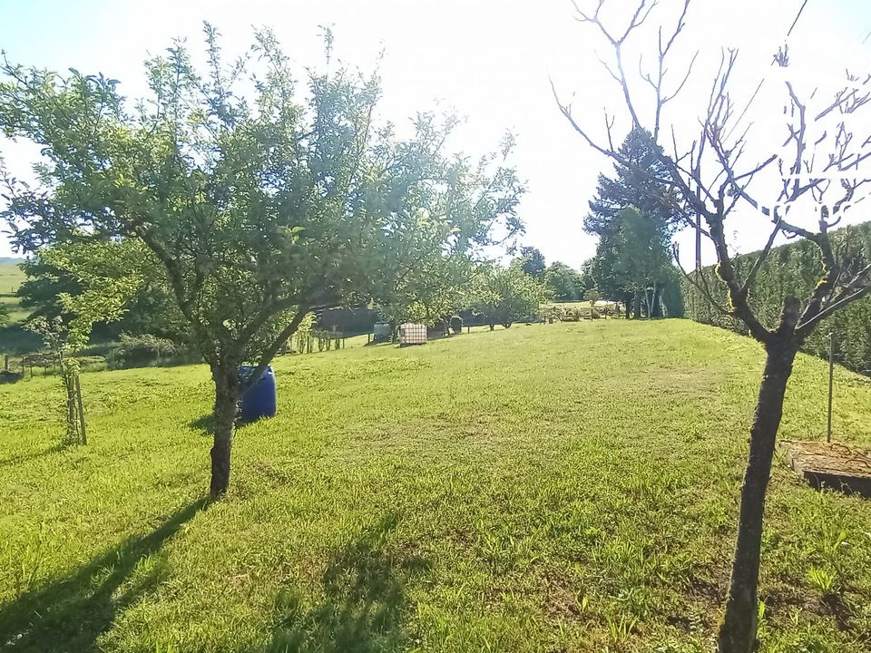 Helårsgrund i Olliergues, Puy-de-Dome - foto 2