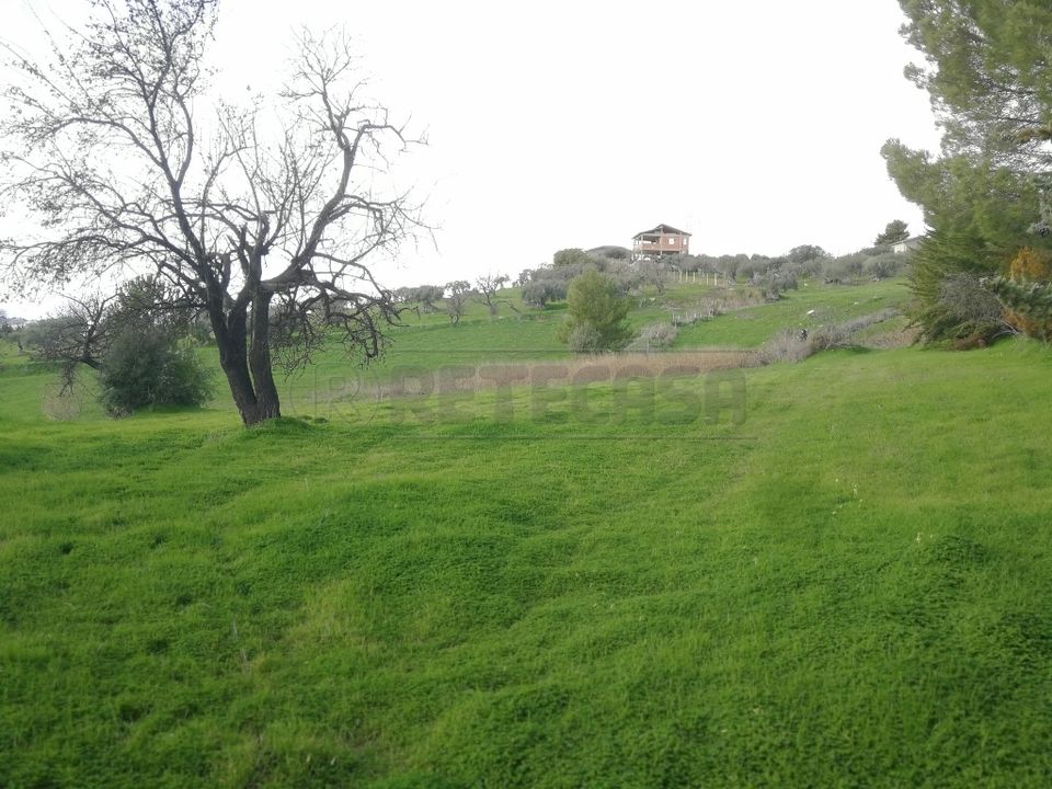 Erhvervsejendom i Caltanissetta, Caltanissetta - foto 2