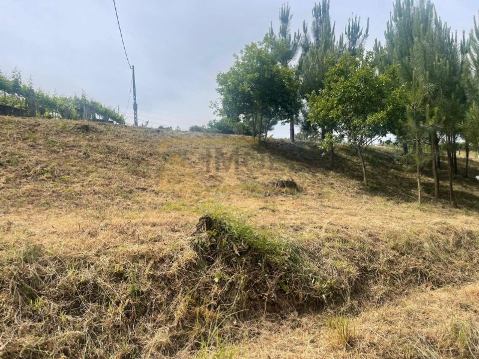 Helårsgrund i Bela, Viana do Castelo - foto 4