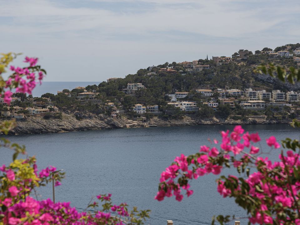 Lejlighed i Andratx, Mallorca - foto 1