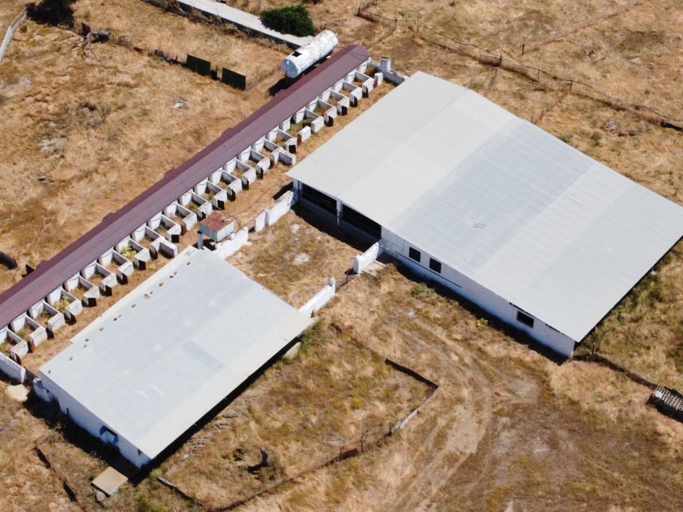 Landejendom i Villanueva De Los Castillejos, Huelva - foto 2