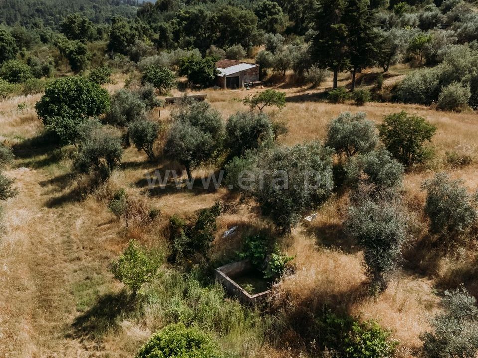 Herregård i Fundao, Castelo Branco - bilde 3