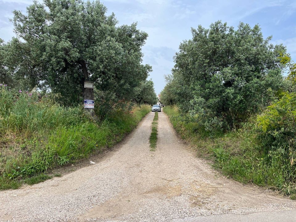 Helårsgrund i Vasto, Chieti - foto 2