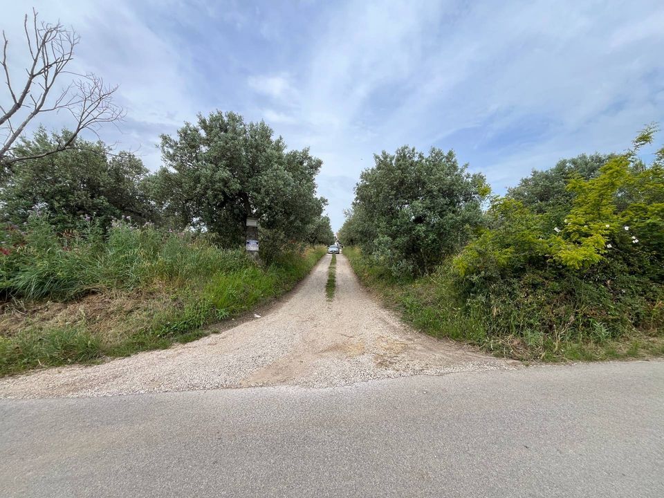 Helårsgrund i Vasto, Chieti - foto 3