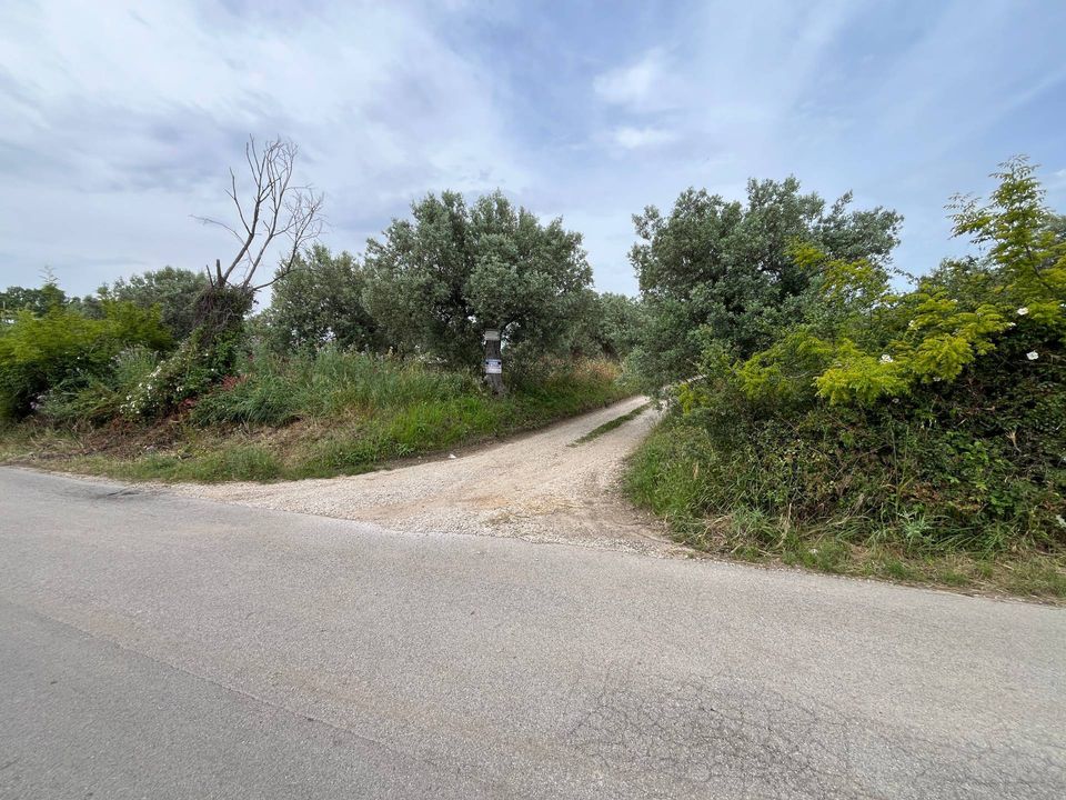Helårsgrund i Vasto, Chieti - foto 5