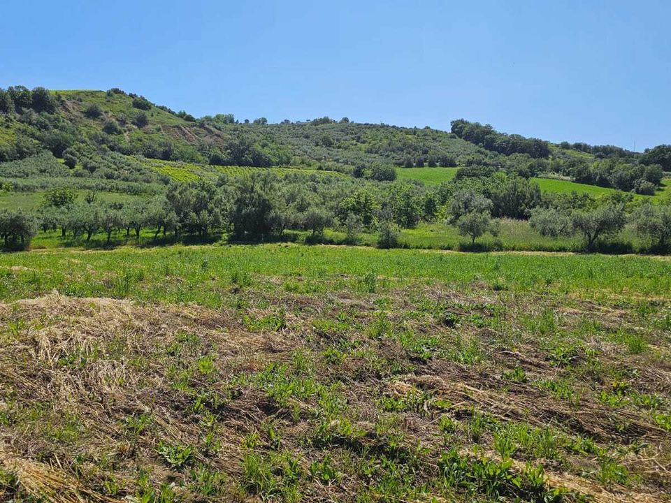 Erhvervsejendom i Castel Frentano, Chieti - foto 1