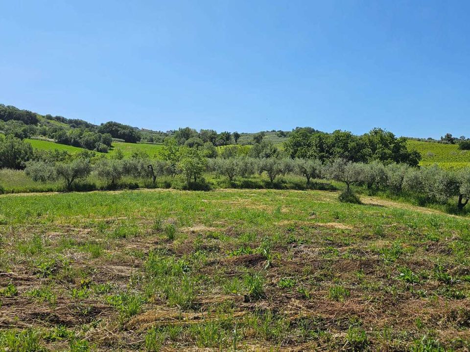 Erhvervsejendom i Castel Frentano, Chieti - foto 3