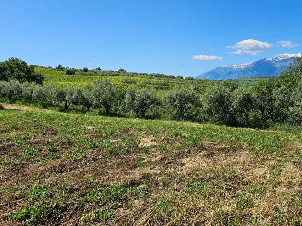 Erhvervsejendom i Castel Frentano, Chieti - foto 5