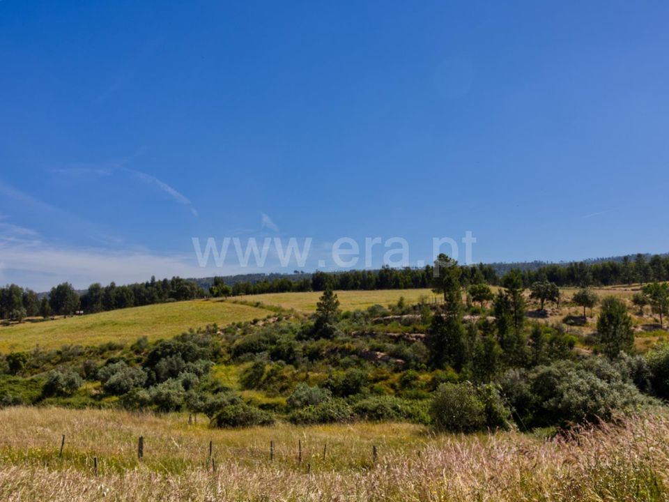 Erhvervsejendom i Nisa, Portalegre - foto 2