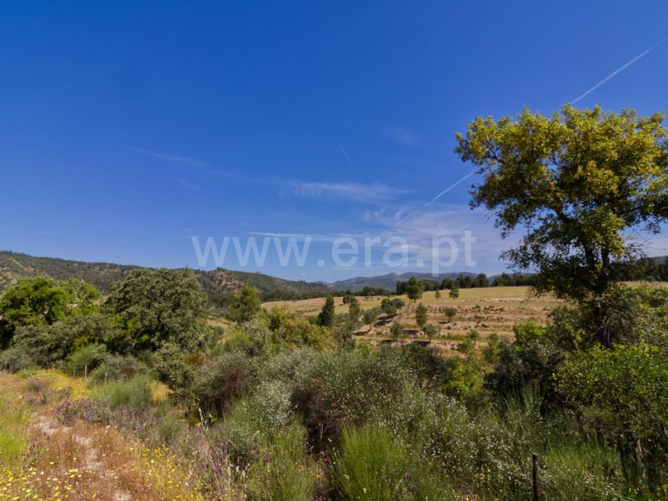 Erhvervsejendom i Nisa, Portalegre - foto 3